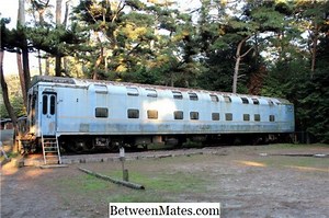 WikiとWikipediaの違い - その他 2026