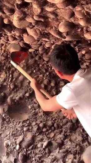 Process of Uncovering Small Pebbles and Minerals in Clay Soil