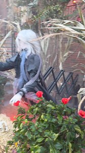 2.1M views · 36K reactions | Another great Halloween house decoration. 133-01 Rockaway Beach Blvd Rockaway Park NY 11694 | New York City Photos | Facebook