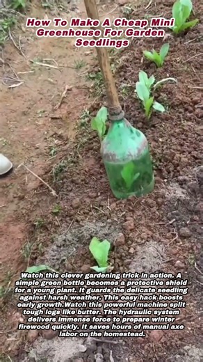 How To Make A Cheap Mini Greenhouse For Garden Seedlings