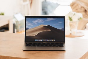 QuickTime Player controls: won't disappear, hide