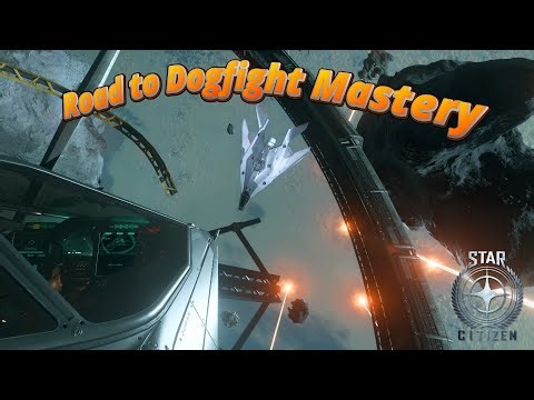 Road to Dogfight Mastery: The First 3 Weeks