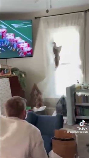 When the wife gets an expensive cock for Christmas 😂😂😂#funny