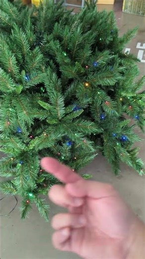 explaining how Christmas lights work on trees 2/3