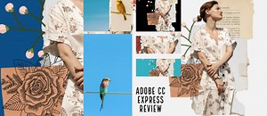 Creative Cloud Express review