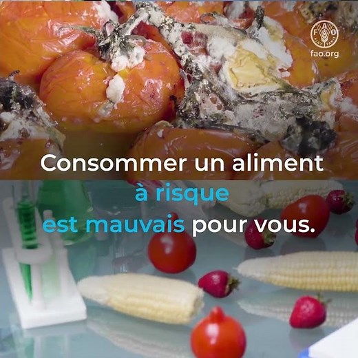 La sécurité sanitaire des aliments est indissociable de la sécurité alimentaire