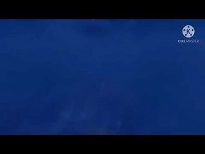 I Accidentally Disney