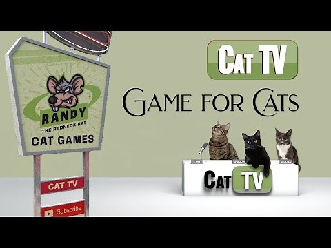 CAT Games TV | Randy the Redneck Rat | Realistic Rat Game for Cats | 3D Video for Cats to Watch