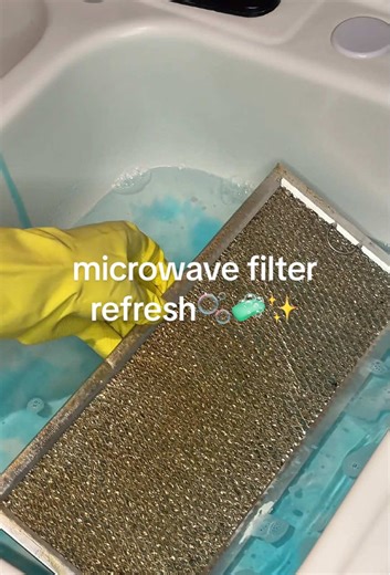 Refreshing Your Microwave Filter Easily