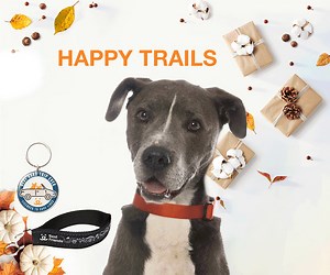 Homeless animals are going places — literally! — thanks to pet transport programs. 🚗 Transports are key to taking the entire country to no-kill by 2025, and with items from our new transport collection, you can educate, advocate and put pets on the route to a safe and happy future: https://bit.ly/TransportCollection. -emily | Best Friends Animal Society