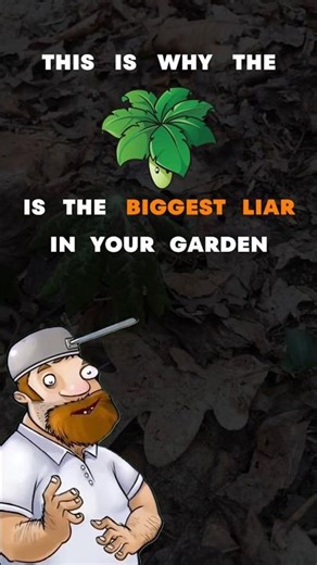 The Mayapple Is Actually From The Umbrella Corporation (Ground Zero Fact)