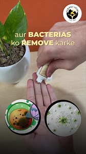 5.4K views · 1.1K reactions | Heal Your Pet's Skin Naturally with Eczo Pet!  Say Goodbye to Itching and Allergies!  | Fur Ball Storyᵀᴹ | Facebook