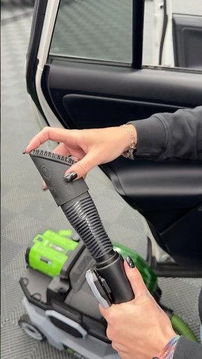 The Easiest Way To Remove Pet Hair From Your Car