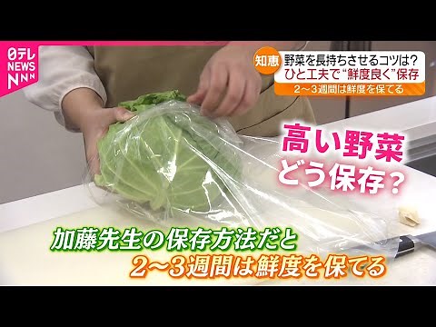 【保存のコツ】"野菜が高い"から無駄にしない！長持ちさせる保存方法とは 福島 NNNセレクション