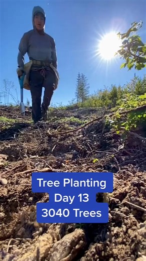 Slowmo for you #fyp #foryoupage #foryou #treeplanter #slomo #treeplan... | Moses Antoine