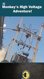 High voltage reaction | Electrical is Power