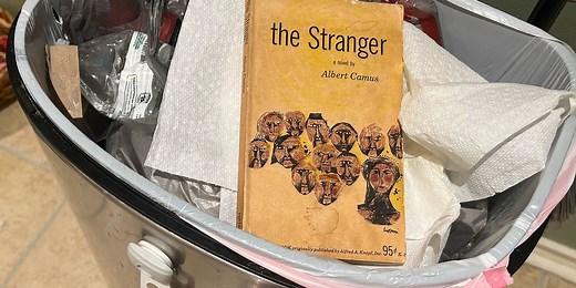 Confronting the Void | Review of The Stranger by Albert Camus