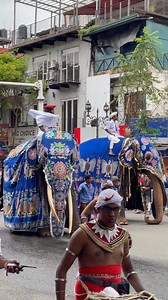 Elephas on Reels