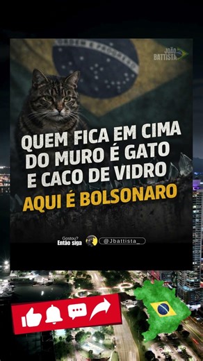 QUEM FICA EM CIMA DO MURO É GATO E CACO DE VIDRO AQUI É BOLSONARO