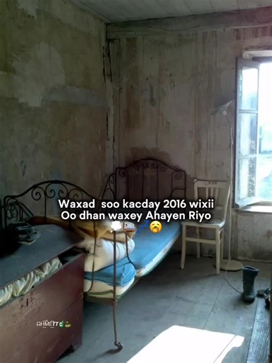 ‏love saar ❤️ #somalitiktok