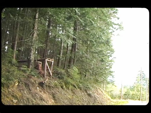 Anthill Films on Reels