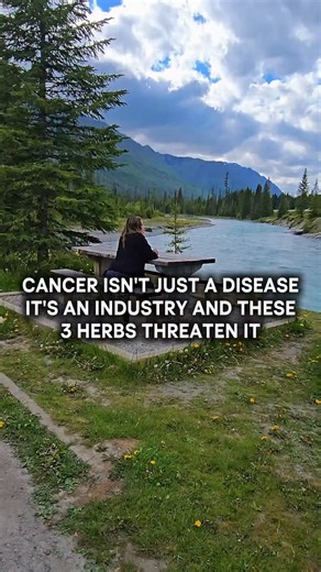 ℝ𝕚𝕤𝕖𝕤𝕒𝕓𝕠𝕧𝕖𝕚𝕥𝕒𝕝𝕝- Functional + Holistic Medicine on Instagram: "This isn’t a conspiracy, it’s real science backed by natural healing. What I share is rooted in research using powerful herbal antiparasitic protocols, detox strategies, and nutritional support, truths that rarely make it to mainstream headlines. Here’s what you need to know: ✔️Parasites and toxins can act as silent drivers behind chronic illness, even tumor growth. ✔️Heavy metals and environmental toxins create the per