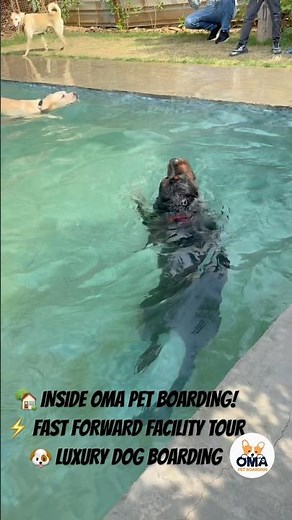 Luxury Tour of OMA Pet Boarding Faridabad | Fast Forward Facility Tour 🐶✨