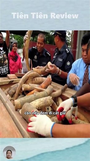 This was the largest ivory burning event in African history.