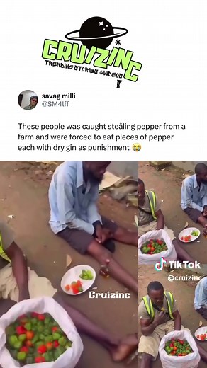 These guys was caught steåling pepper from a farm and were forced to eat pieces of pepper each with dry gin as punishment🔥 Do you think they deserve it or too much ? Turn on notifications for Exclusive updates! @cruizinc Subscribe to my main YT channel:Link in Bio #cruizinc #davido #streamers #fypシ゚viral #nigeriantiktok🇳🇬