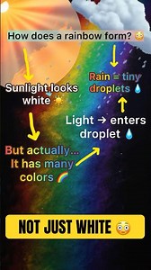 How Do Rainbows Form? | Class 10 Physics 🌈