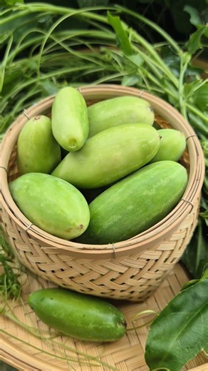 กินได้ทั้งยอดเเละผล #ตำลึง #สรรพคุณ #พืช #สมุนไพร #สาระดี #herbal