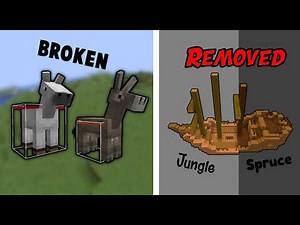 Mojang made it Impossible