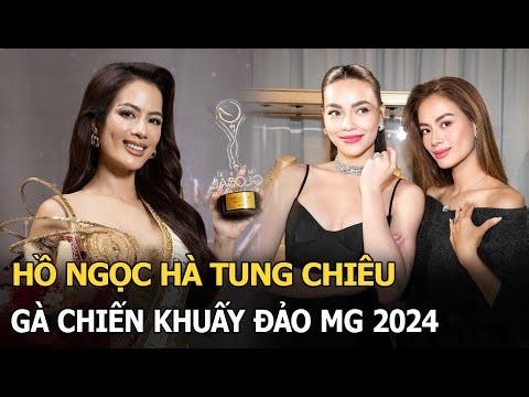 Nguyễn Đình Như Vân biography: 13 things about Miss Global 2024