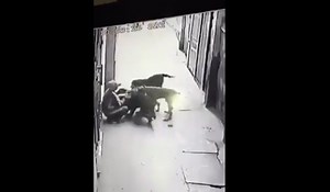 Whoa: Dogs Brutally Attack A Man In Alley!