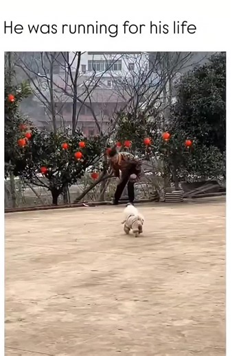 I'm literally dyinggggg 😂😂😂😂😂 #funny