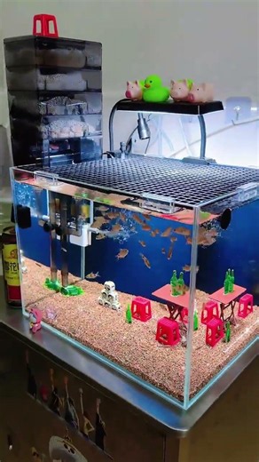 Installing a surface skimmer helps oxygenate the water too! #fishtank #shorts