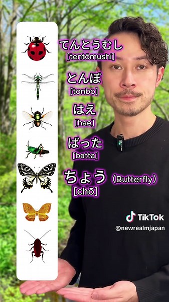 Insect Names in Japanese: Learn with Us!