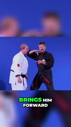 Crazy Fast Martial Arts Moves!