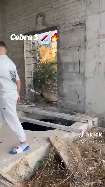 Cobra 3: Spectacular Fireworks Show 🧨🔥