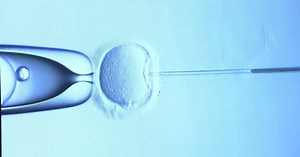 New insurance policy launches to cover fertility treatments