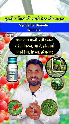 New medicine for all caterpillars, spiders, thrips || Syngenta Simodis || #insecticide #pesticide...