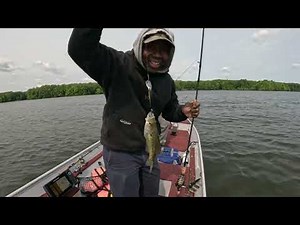 Mosquito Lake Crappie