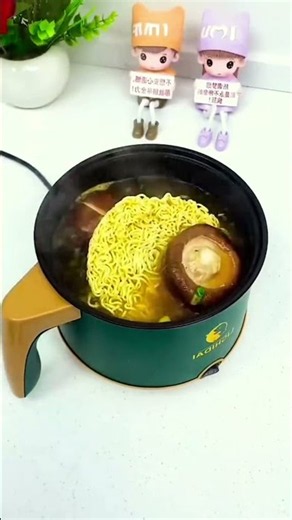 Mini Electric Cooking Pot – Quick Meals Made Simple! 🍜⚡