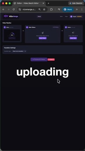 Full Pipeline Demo - ViZoMerge