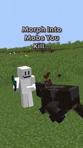 Minecraft Morph Mod!