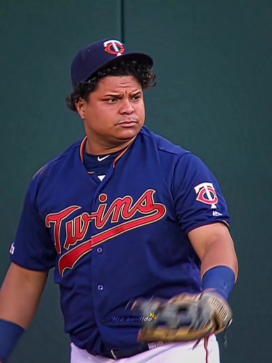 ¿De dónde es la gran tortuga Willians Astudillo?