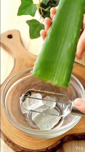 Making of organic aloe vera gel #aloeveragel #aloevera #diyskincare #organicbeauty #homemade