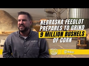 Nebraska feedlot prepares to grind 8 to 9 million of bushels of corn 😲