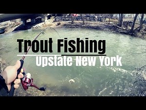 Trout Fishing Spinners | Spring Trout Fishing
