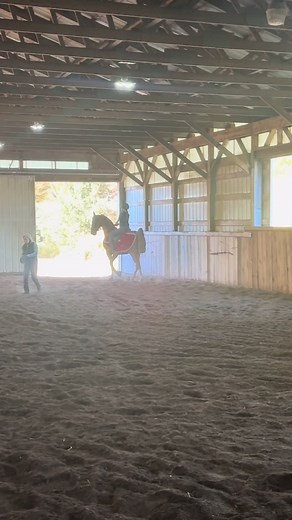 reposting this ride since i have no videos since then... #fyp #saddleseat #horses #foryoupage #saddlebredsoftiktok